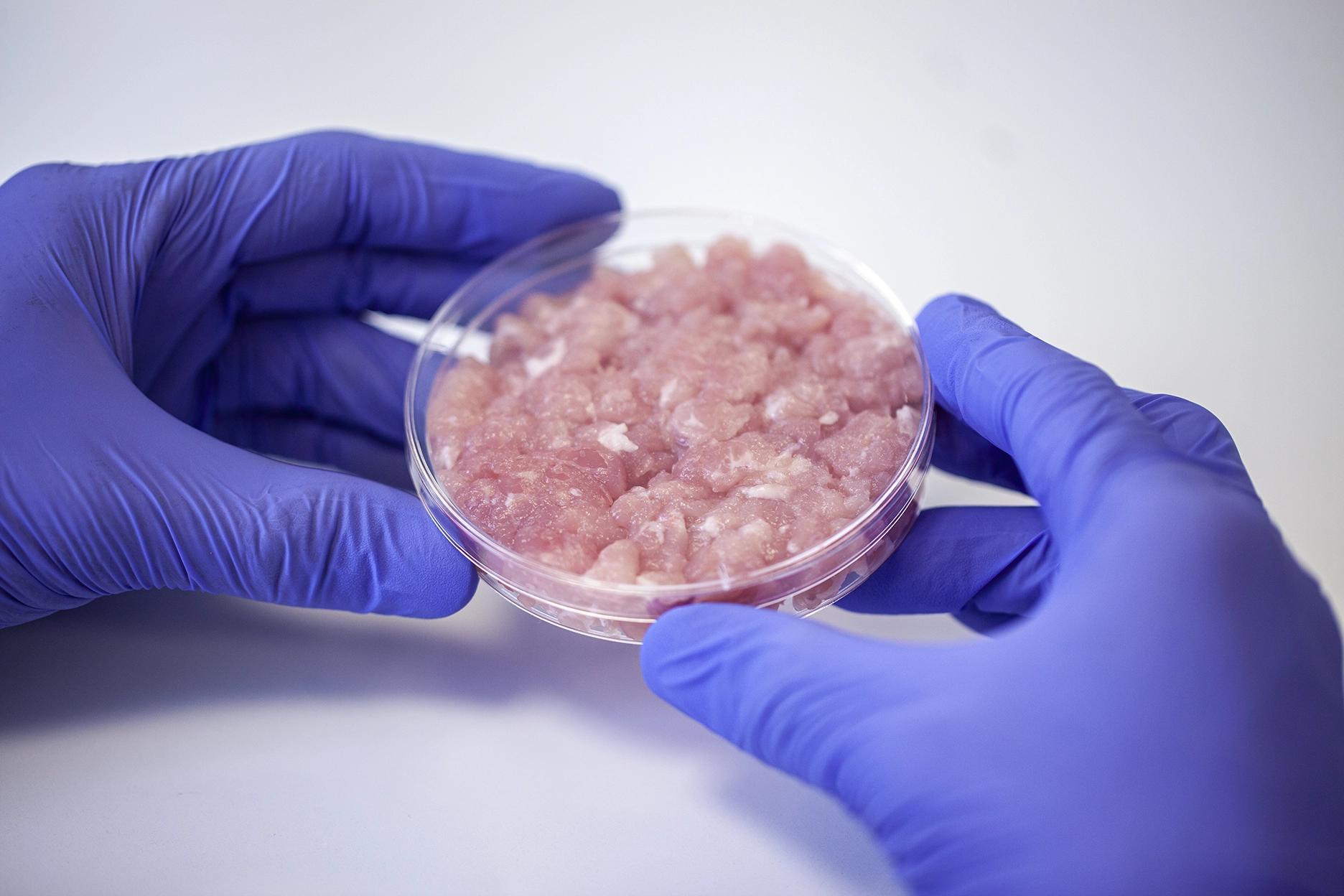 cell-based-foods